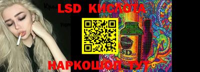 прущие грибы Брянск