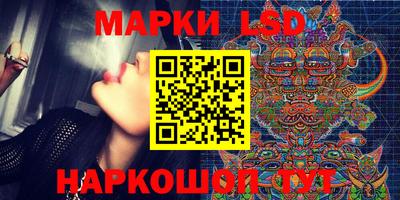 прущие грибы Брянск
