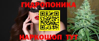 прущие грибы Брянск