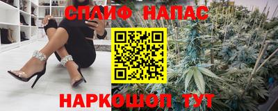 прущие грибы Брянск