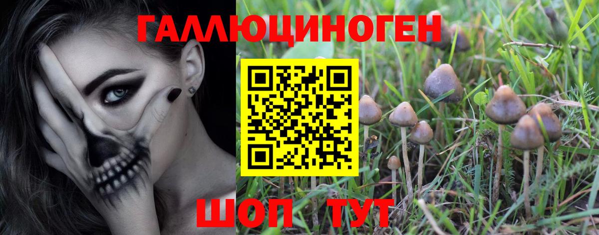 Советская Гавань  Псилоцибиновые грибы мухоморы  Вход с VPN 